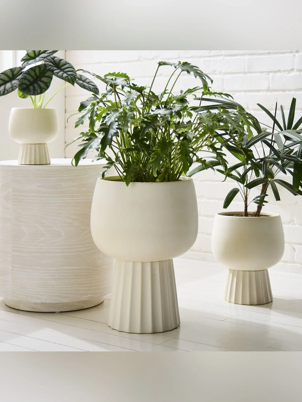 Brand New West Elm Marta Alabaster Ceramic Planters, Indoor & Outdoor Use, NWT